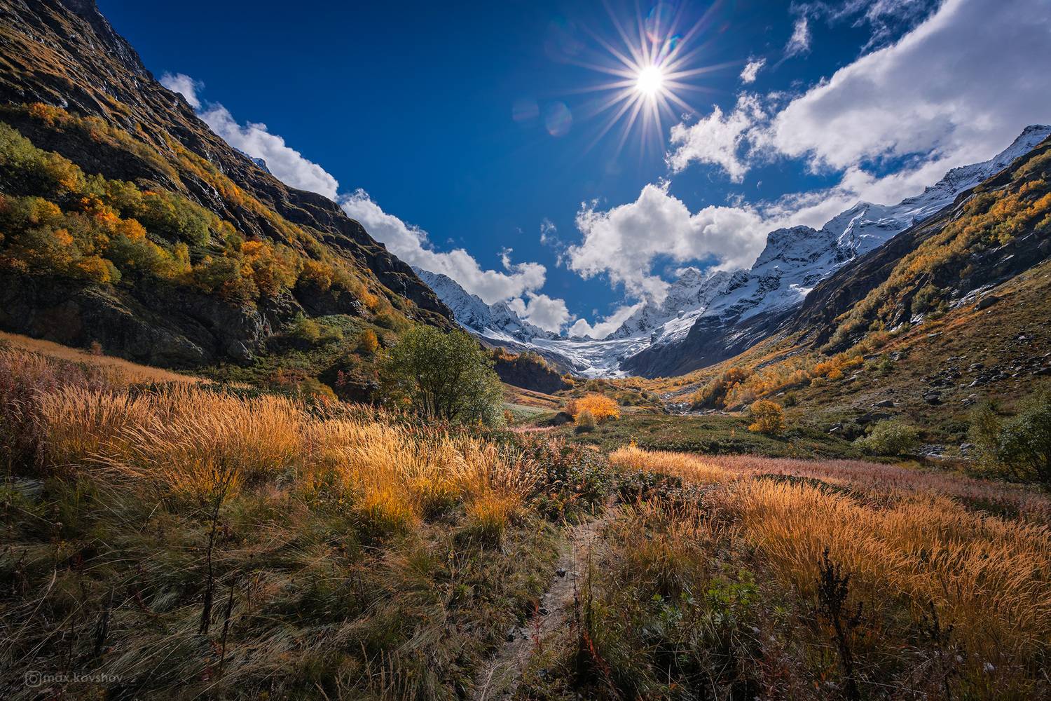 , Макс Ковшов