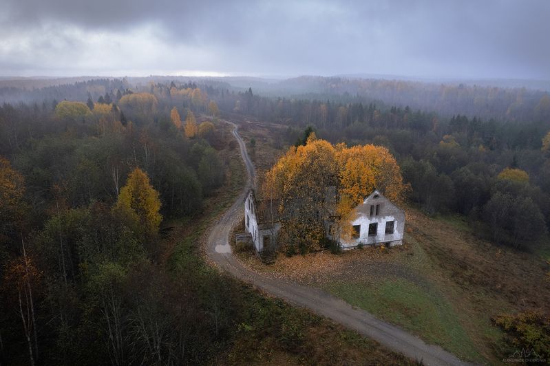 Silent hill фото превью