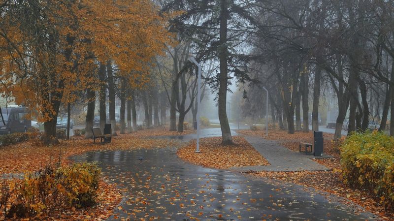 Осенние зарисовки фото превью