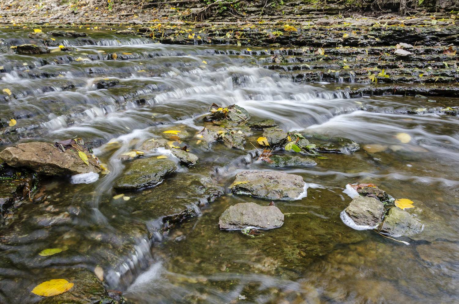 , Алексей Алешин