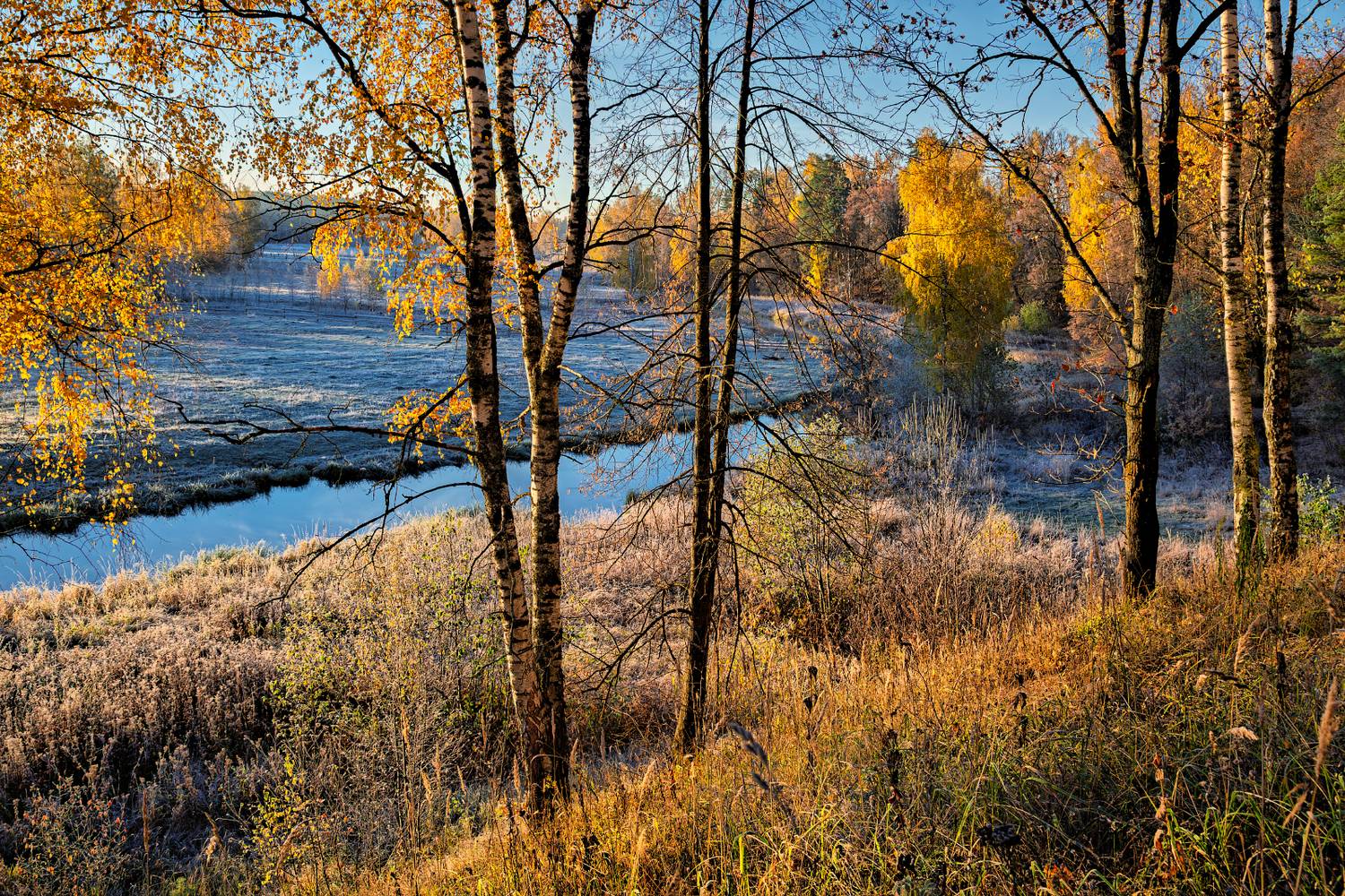 , Евгений Ерохин