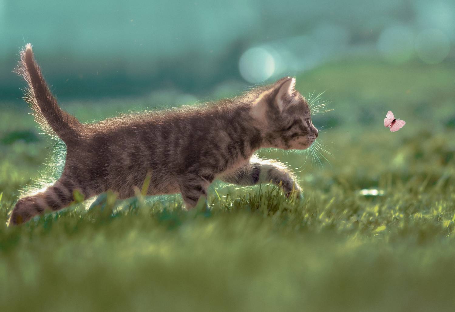 , Холудеев Виктор