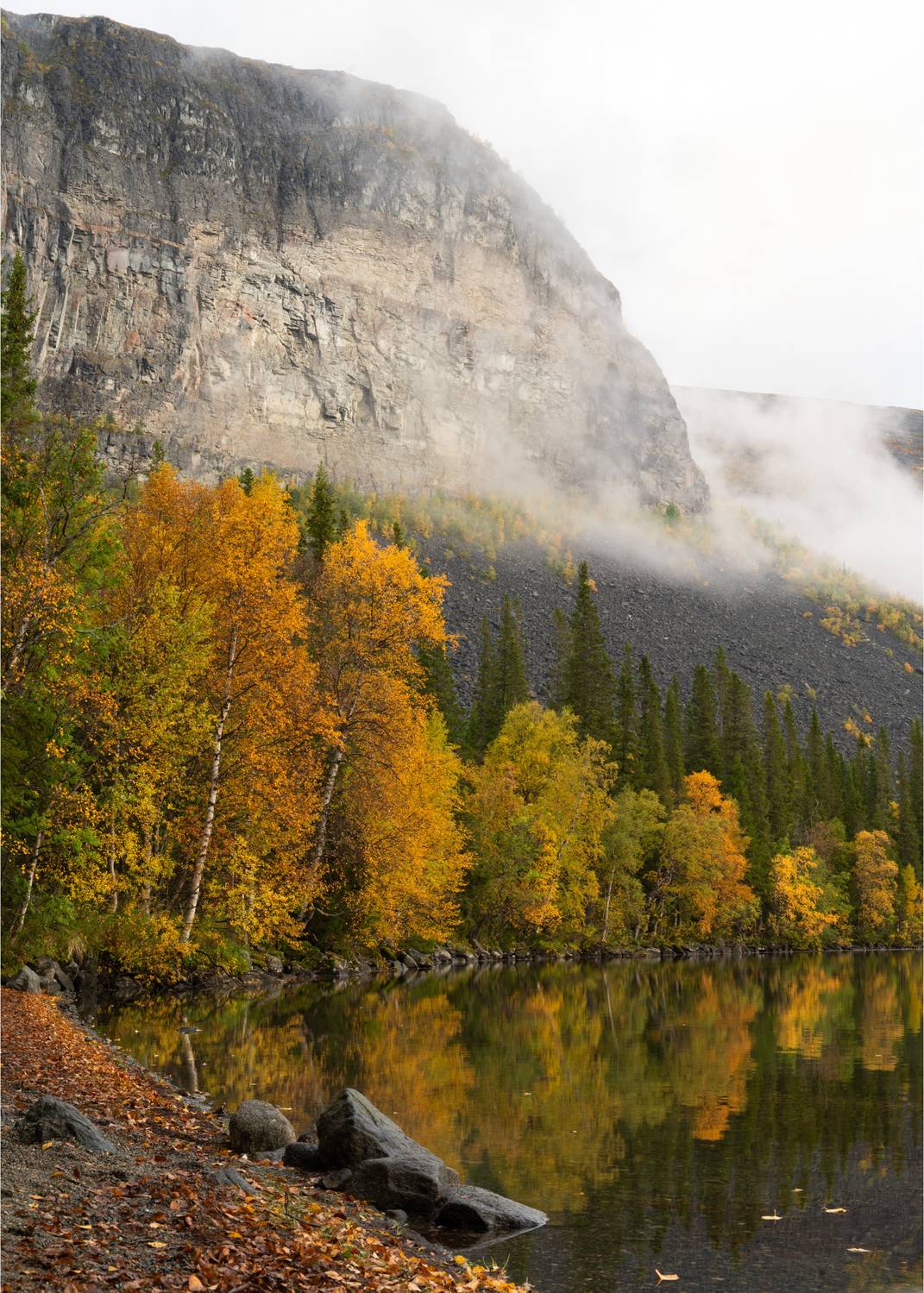 , Ян Сурогин