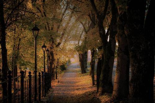 Утро в Нарве 19 октября