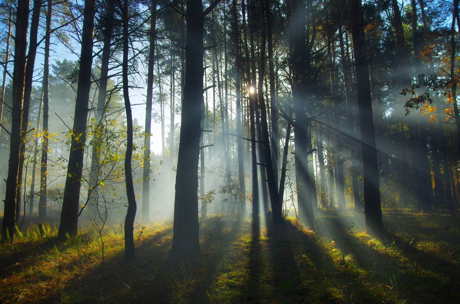 , Шляга Сергей