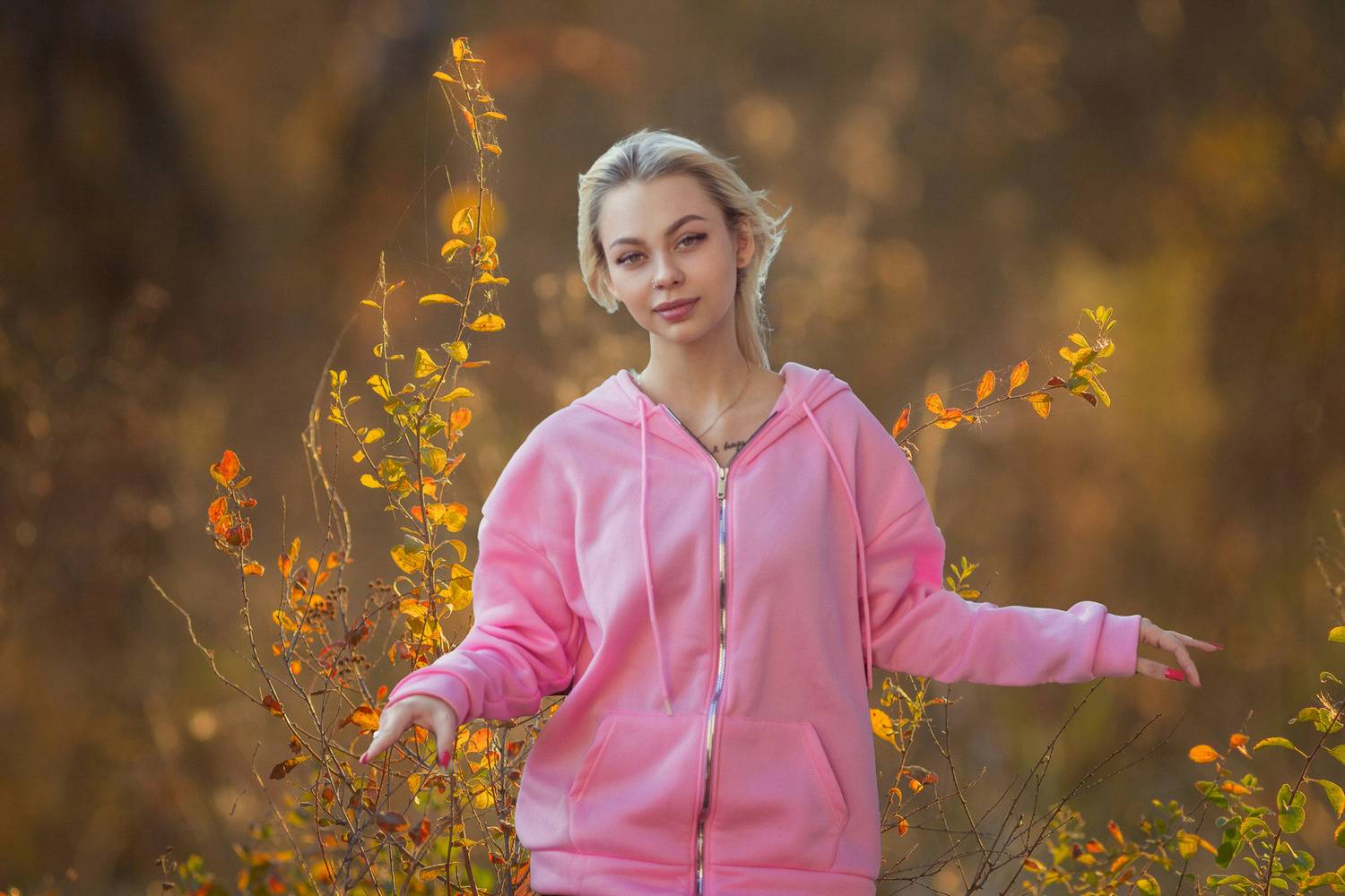 осенний лес, Александр Канцур