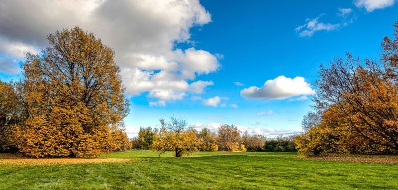 Парк, Осень, Коломенское, Листва, Москва Осень в парке фото превью