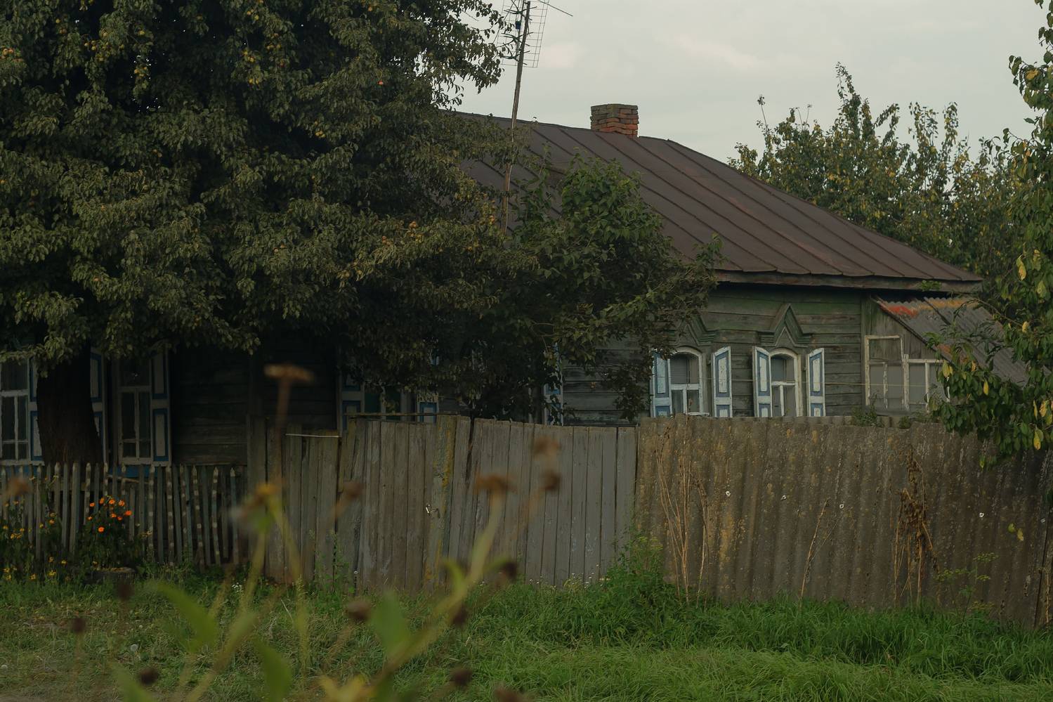 , Лысенко Сергей