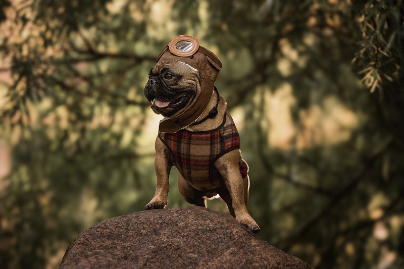 Нильс фото превью