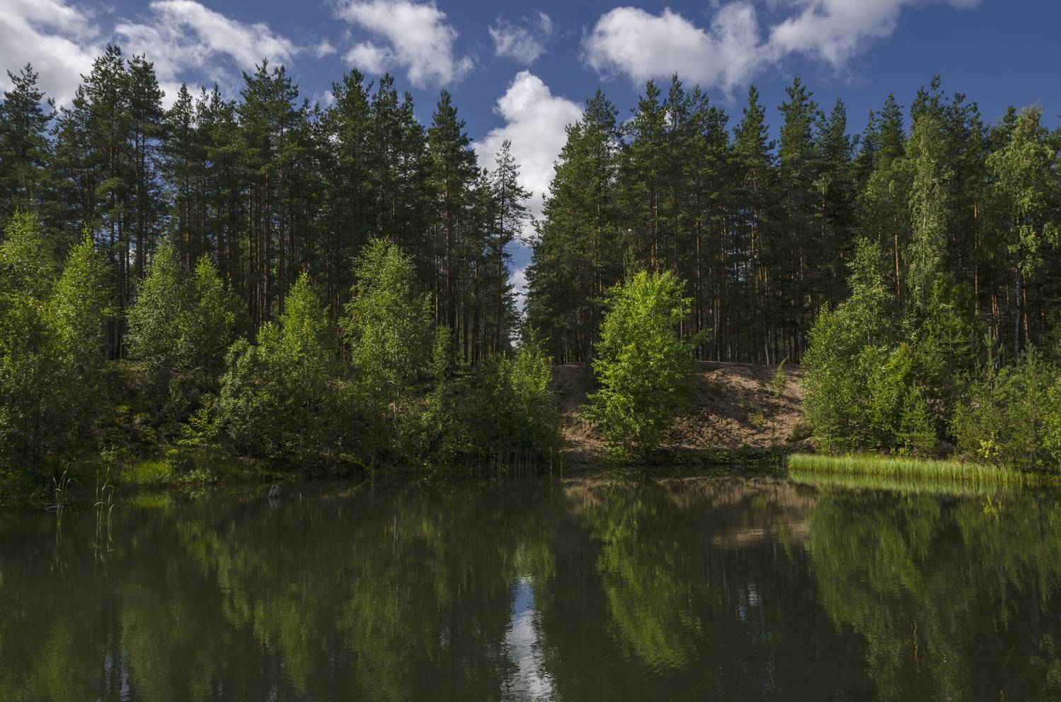 , Алексей Алешин