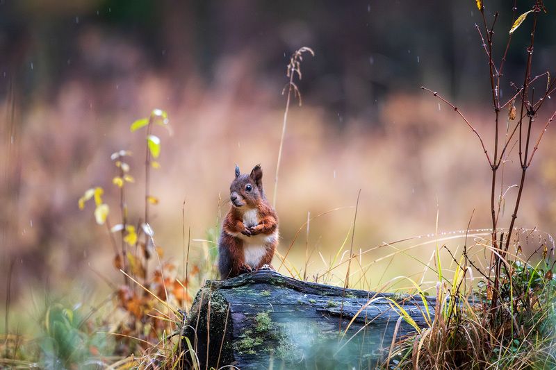 Ты меня фоткаешь? фото превью