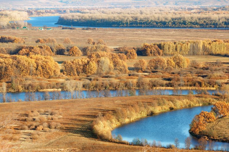 Рыжий Октябрь. фото превью