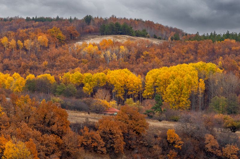 гремячка, саратовская область, природа, осень Октябрь в Гремячке.. фото превью