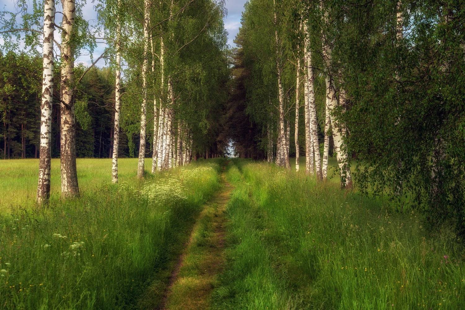 павловский, парк, Васин Сергей