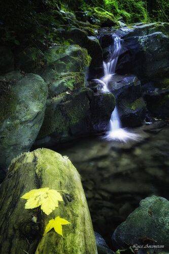 Everything flows