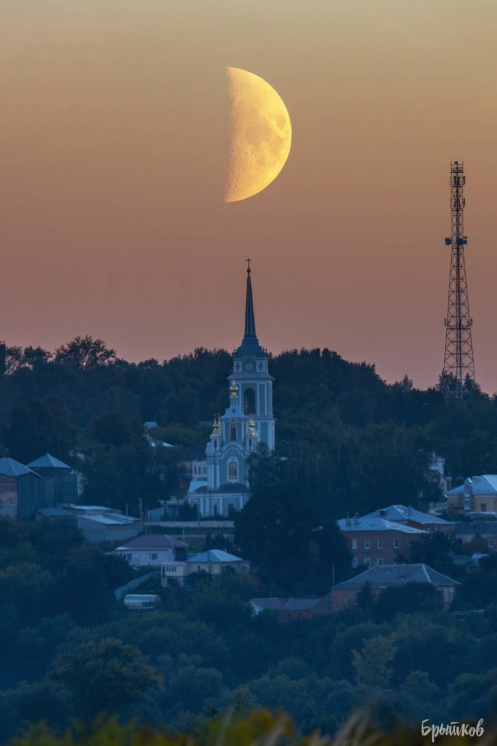 , Николай Брытков