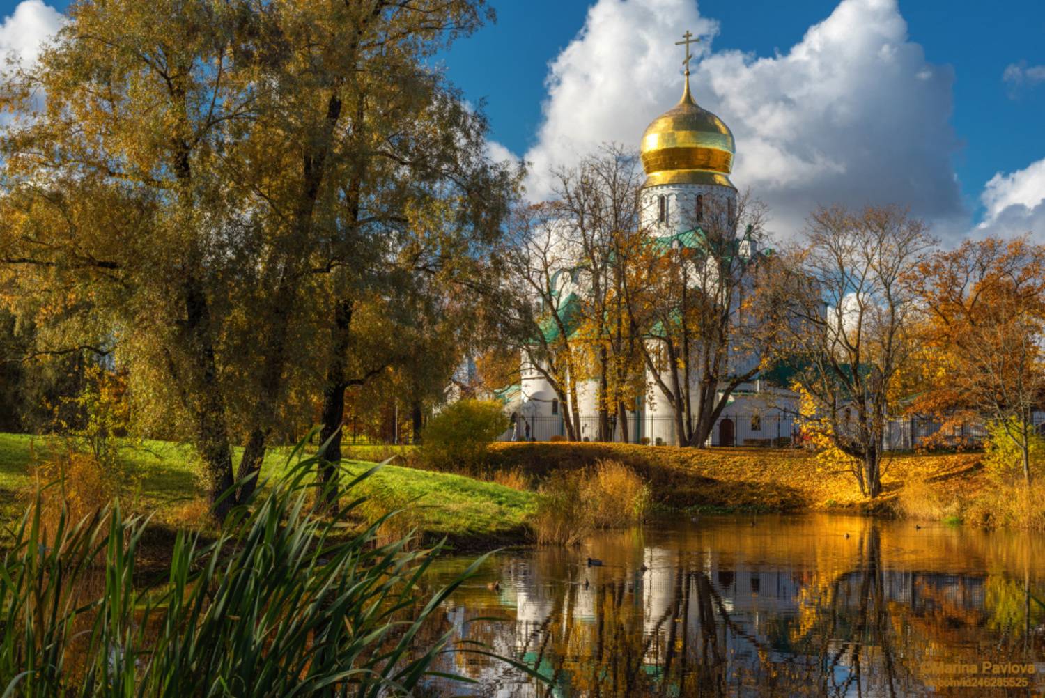 ород, архитектура, город пушкин, городской пейзаж, осенний пейзаж, природа, царское село, фермский парк, собор  феодоровской иконы божией матери, храм, золотая осень, пригороды петербурга, Павлова Марина