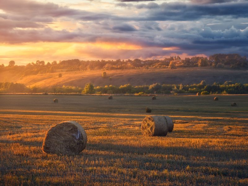 россия, чувашия, природа, закат, поле, сено, дождь Летний вечер фото превью