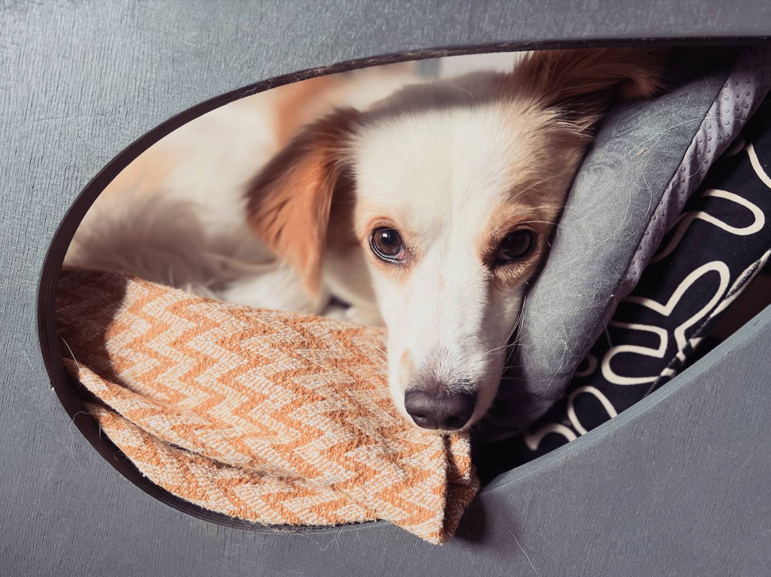 , Куликова Ирина