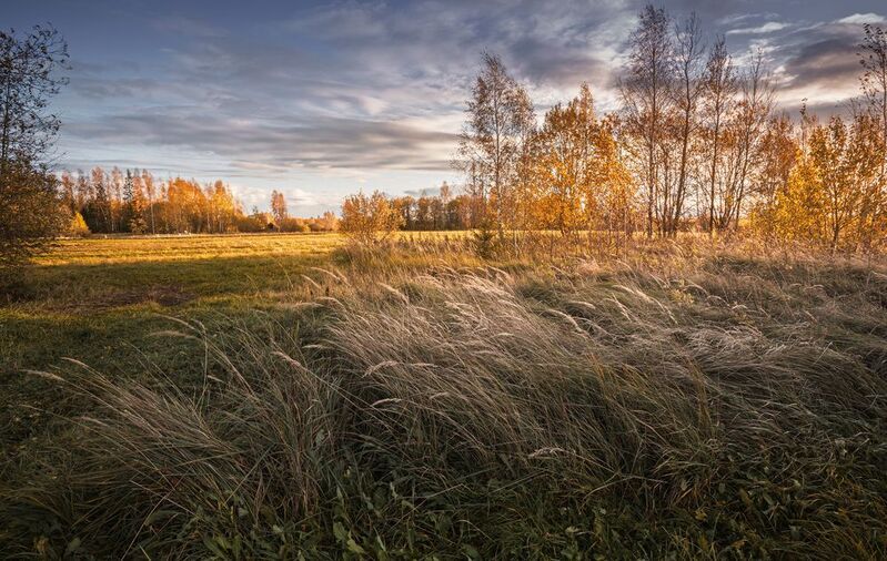 Соленская обл. Осеннее настроение... фото превью