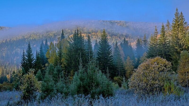 осень, серебро, горы Посеребрила осень фото превью