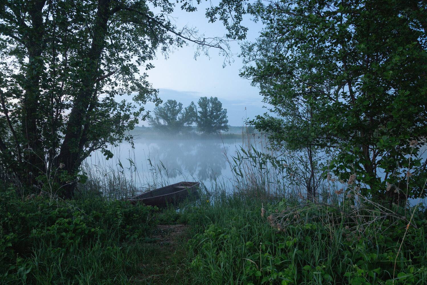 , Александр Бредихин