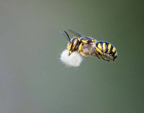 Утепляемся