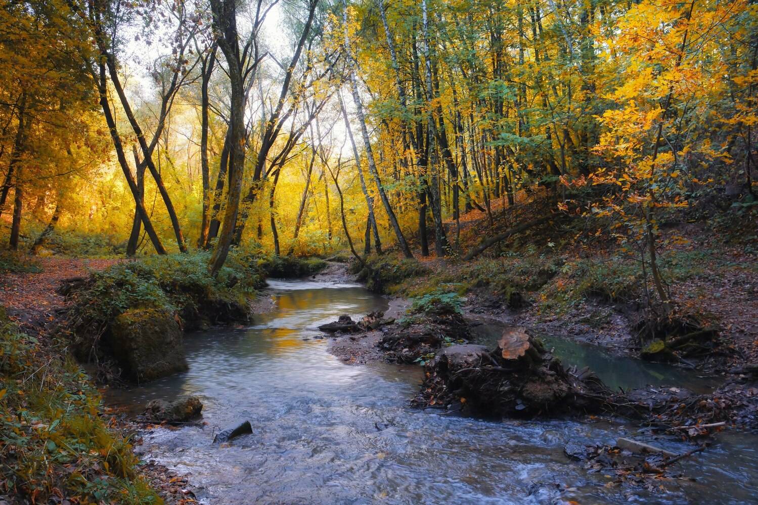 , Екатерина