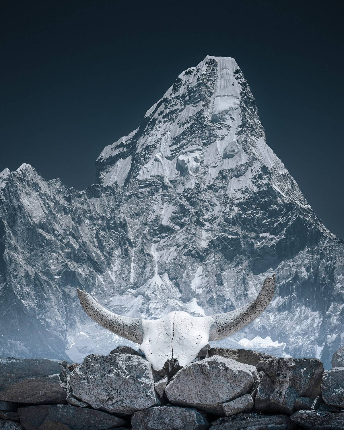 , Купчиков Илья