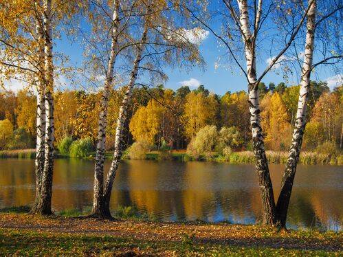 Октябрьский вечер