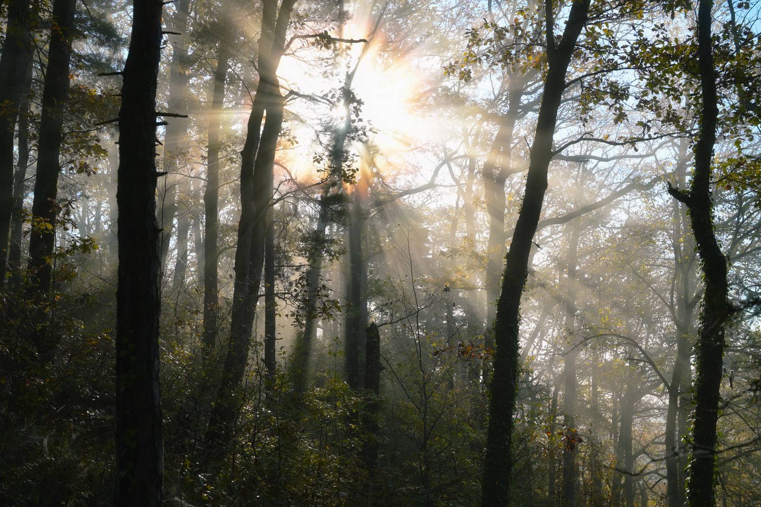 , Сергей Тихомиров