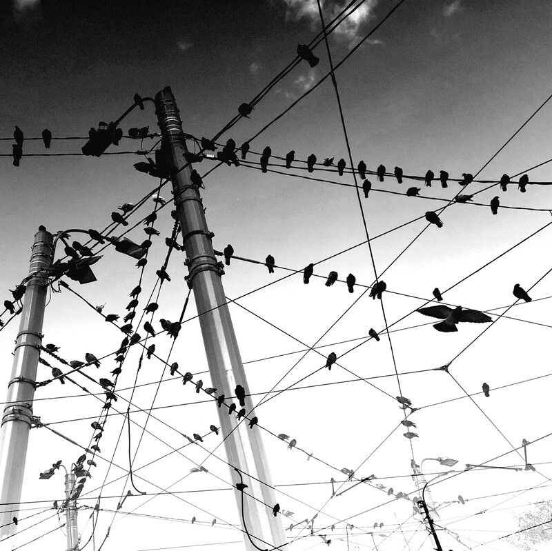 . фото превью