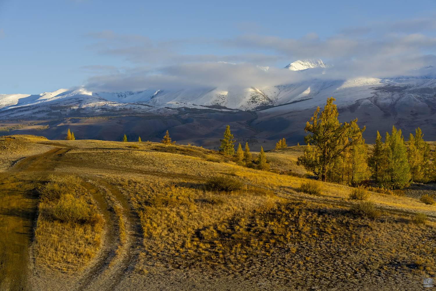 алтай, Dmitry Kovalev