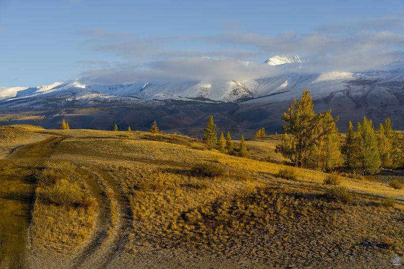 алтай Курай фото превью