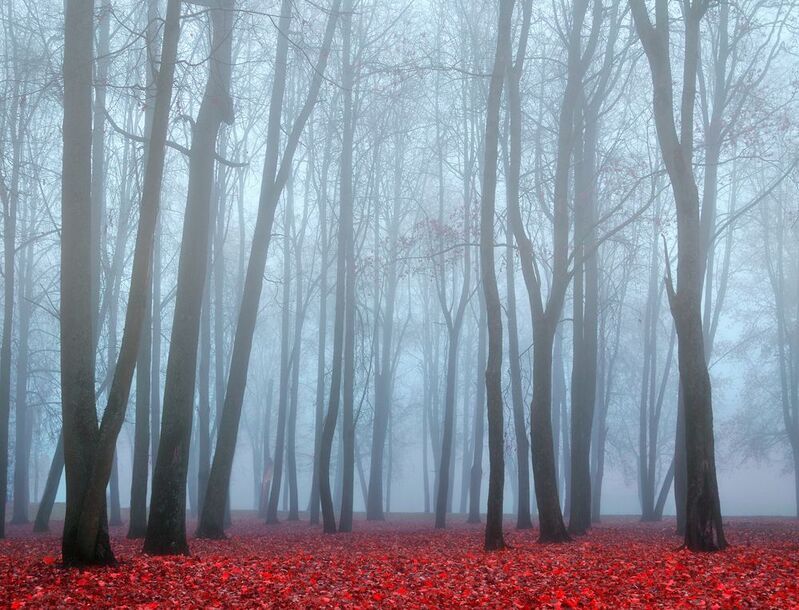 Autumnal veil фото превью