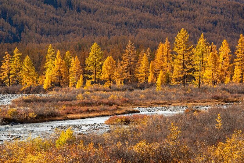 Ока Саянская фото превью