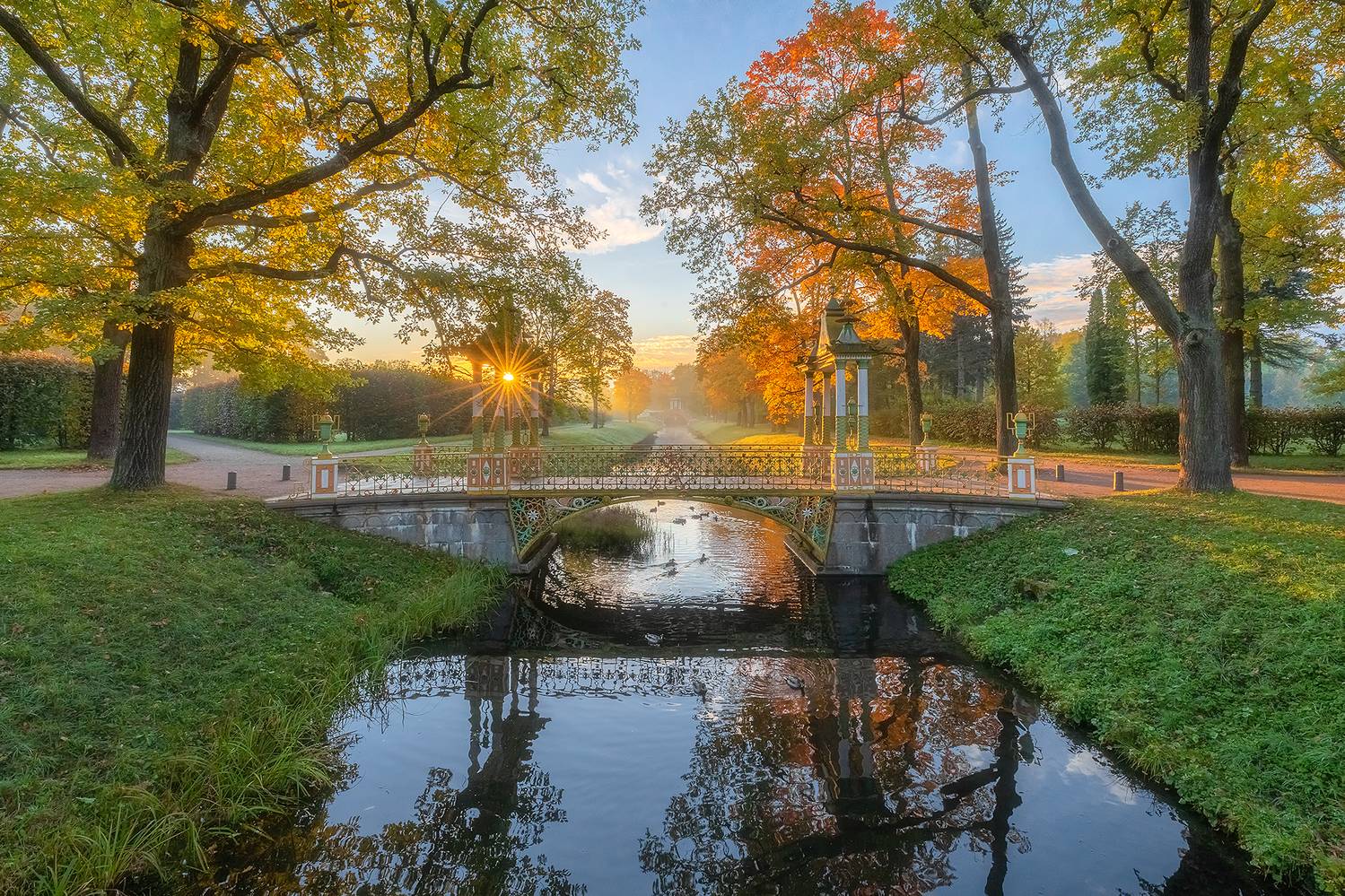 осень, пушкин, александровский парк, царское село, природа, рассвет, пейзаж, китайский мост, октябрь, Alexander Pashenichev