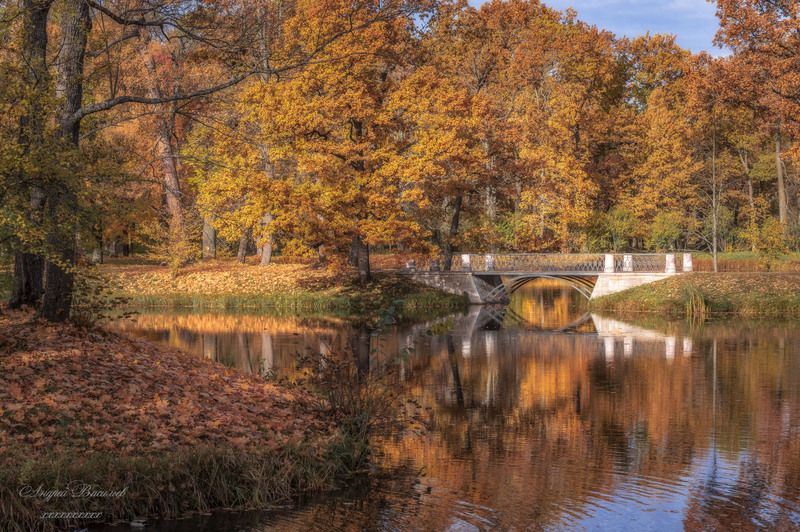 осень, осенний пейзаж, парки, мосты  фото превью