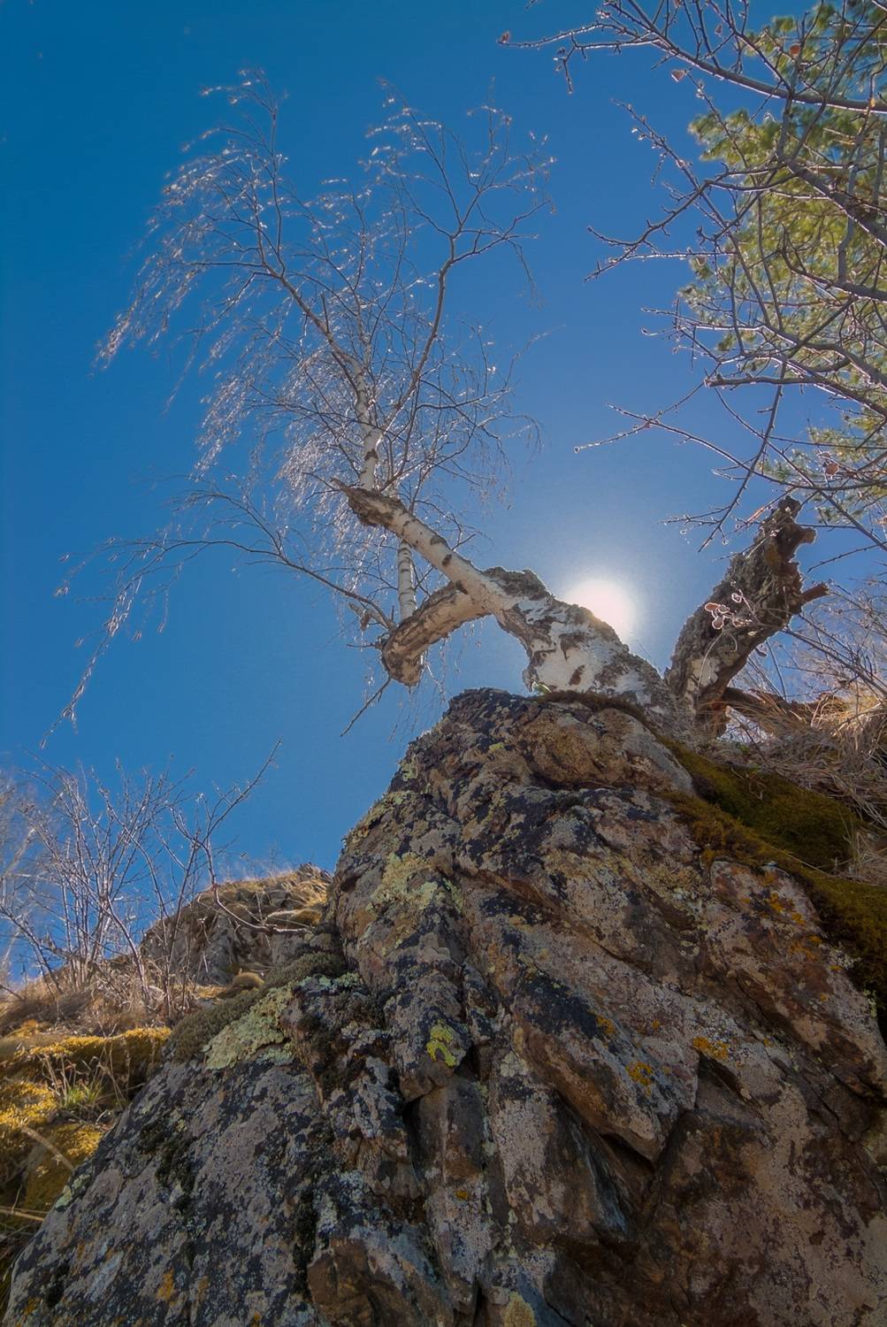 , Шустиков Дмитрий