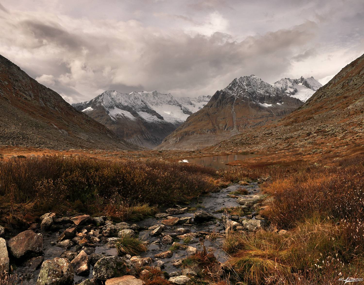 swiss, Матвеев Николай