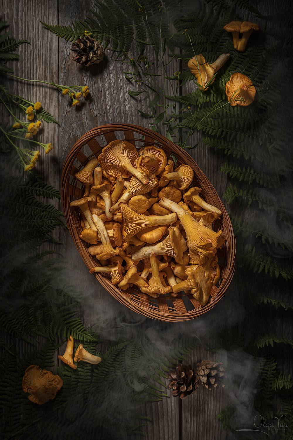 грибы, лисички, рыжики, папоротник, шишки, Ольга Яр