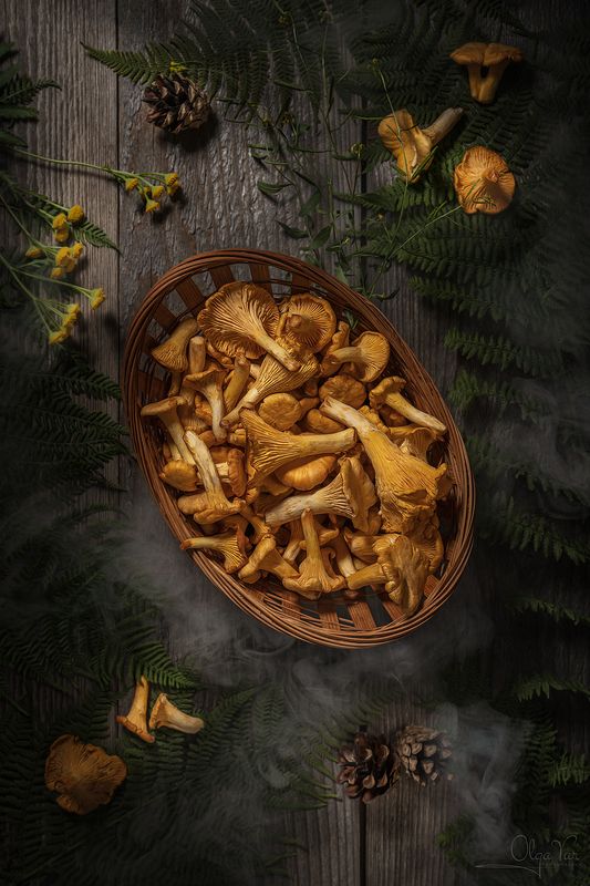 грибы, лисички, рыжики, папоротник, шишки Лисички фото превью