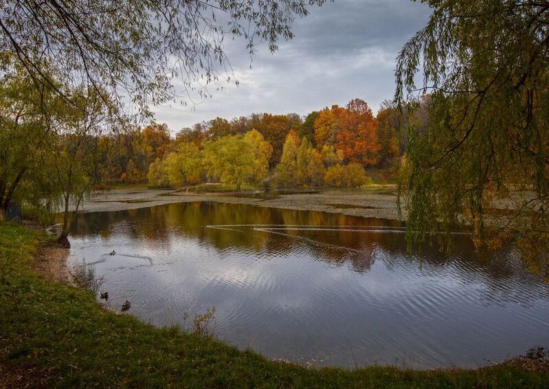 *** фото превью