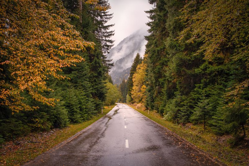 racha, fall, autumn, forest, trees, yellow, mountains, clouds, sky, nature, landscape, scenery, travel, outdoors, georgia, sakartvelo, chizh Yellow Toned Road фото превью