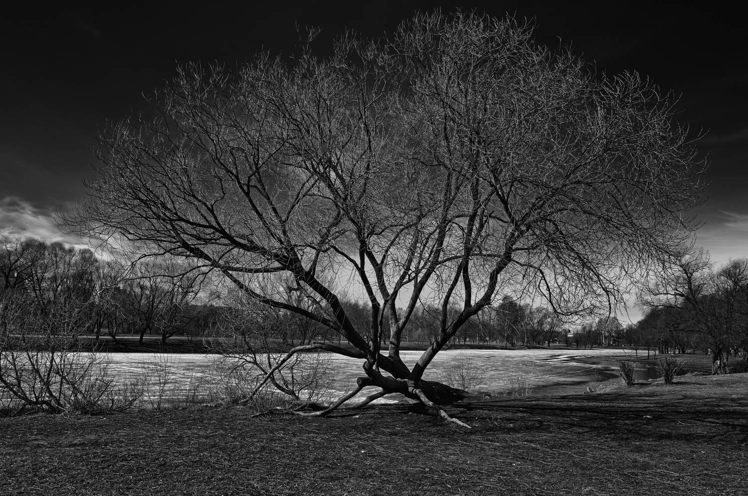 , Тихонов Дмитрий