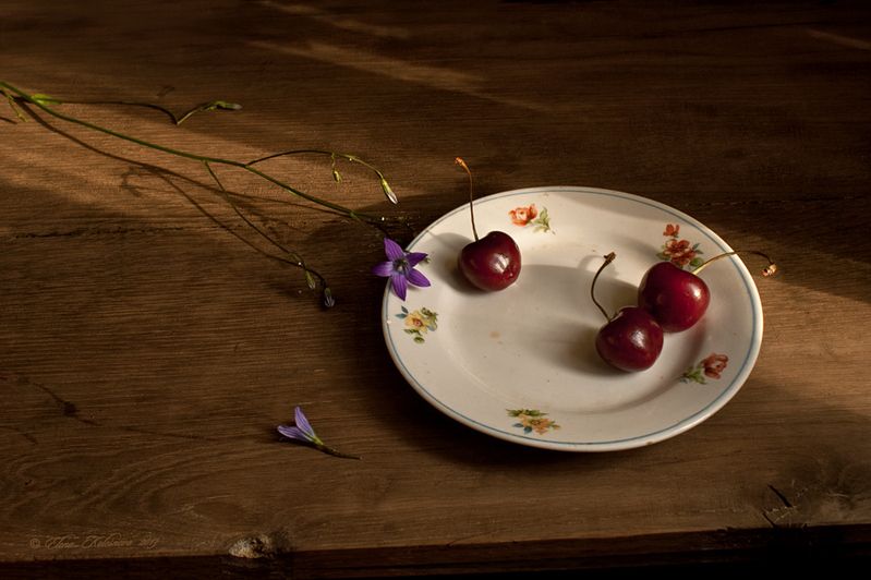 лето, черешня Три черешни фото превью