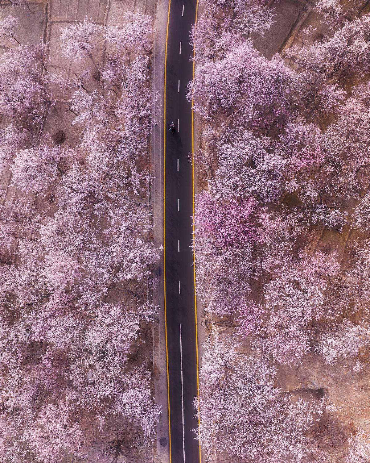 , Даниил Коржонов