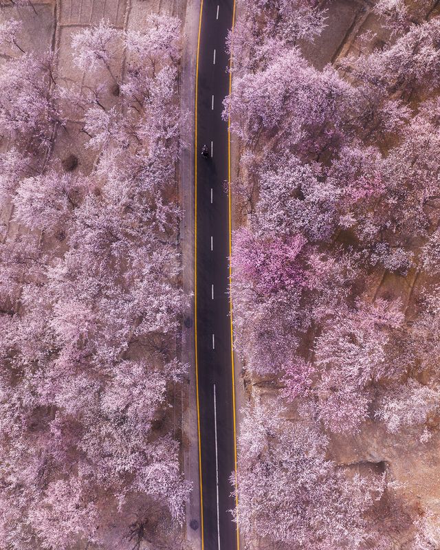 Pakistan фото превью