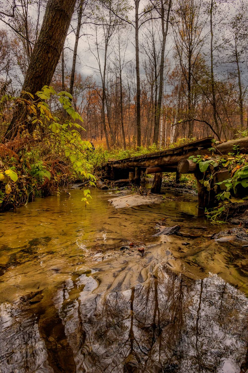 село лох, саратовская область, природа, ручей, осень, природа, вода, отражение, Подосинников Максим
