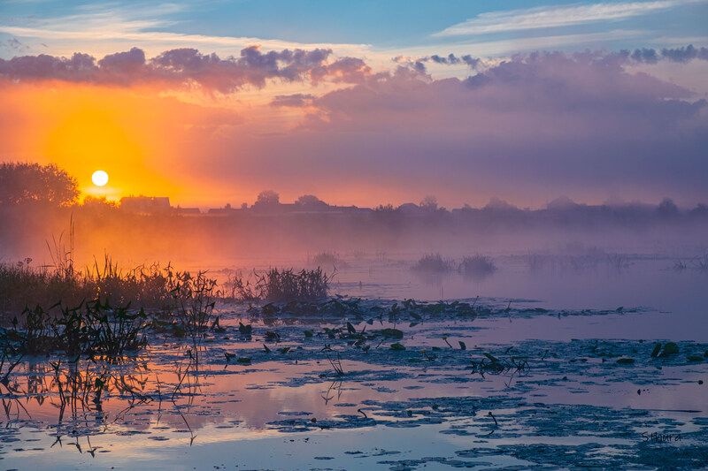 лето озеро облака рассвет туман природа пейзаж Рассвет на озере. фото превью